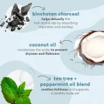 شامپو لایه‌بردار کف سر بریوجیو حاوی ذغال و روغن نارگیل | Briogeo Mini Scalp Revival Charcoal + Coconut Oil Micro-exfoliating Shampoo - Image 3