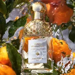 عطر مینیاتوری آکوا آلگوریا ماندارین بازلیک گرلن
